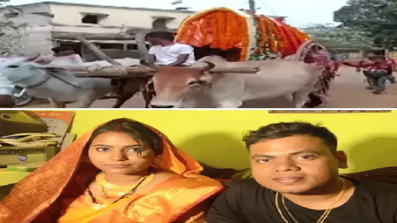 Viral News | ఎడ్ల బండిపై అత్తారింటికి వ‌చ్చిన వ‌ధువు