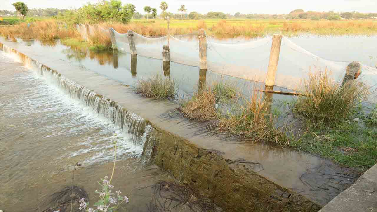 కాలువలు పారగా.. చెరువులు నిండుగా..