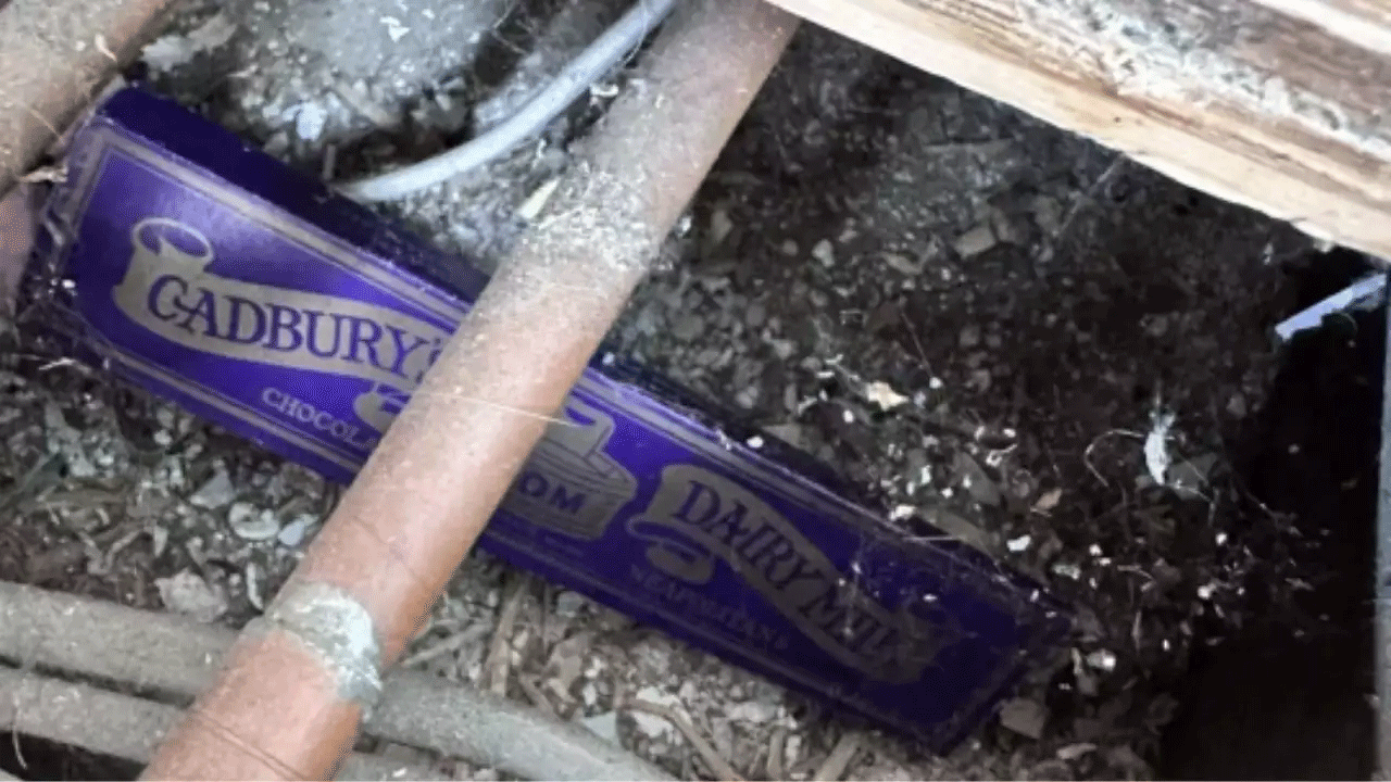 Viral News | బ‌య‌ట‌ప‌డిన‌ వందేండ్ల నాటి డైరీ మిల్క్ ర్యాప‌ర్