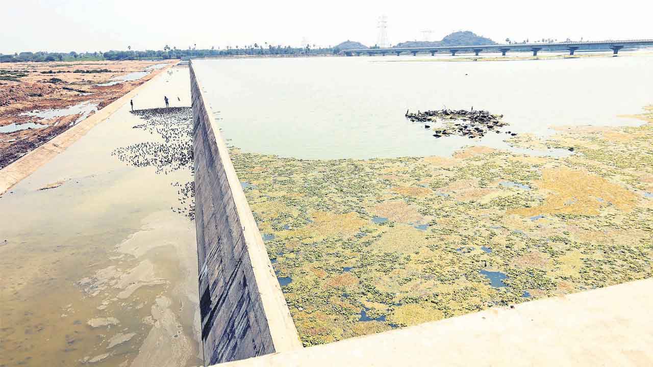 మా‘నీరు’ నిలిచేను.. కరువు తీర్చేను