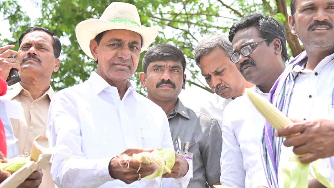 రైతులకు సీంఎం కేసీఆర్‌ భరోసా