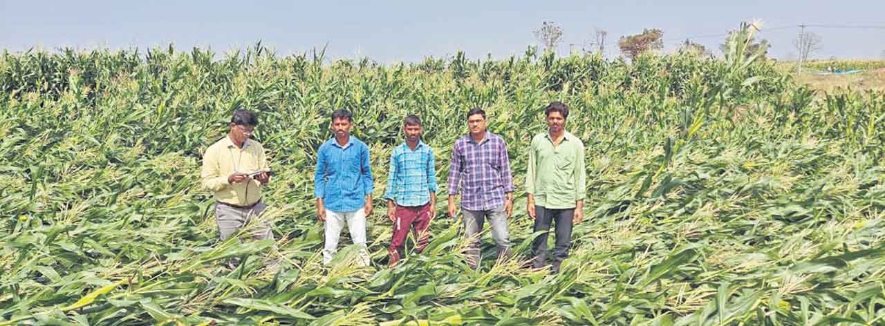 కన్నీటి కడగండ్లు.. వడగండ్లతో భారీ నష్టం