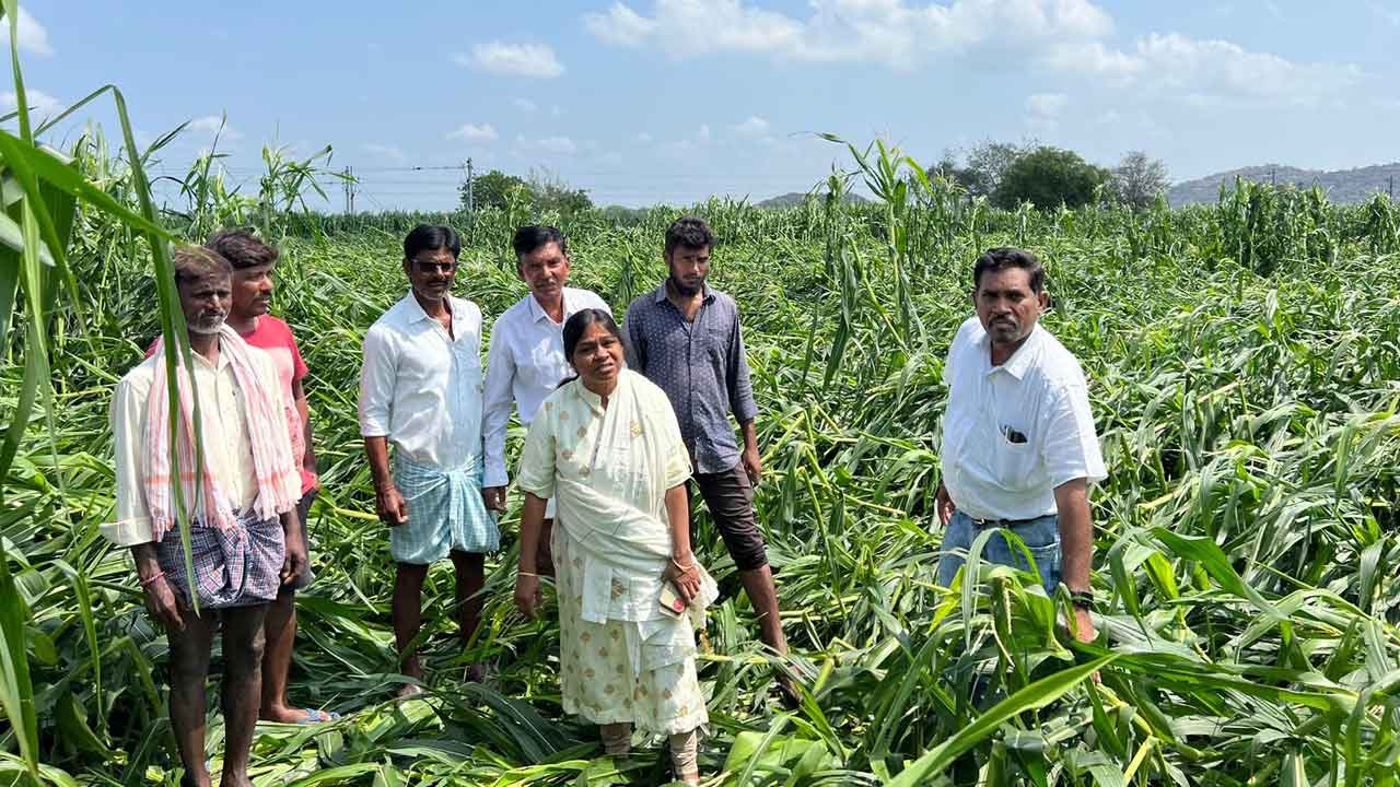 రైతన్నకు భరోసా.. అండగా నిలిచేందుకు సర్కారు చర్యలు