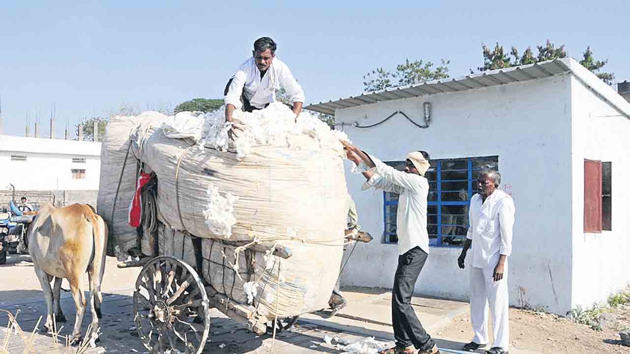 సీసీఐ శూన్యం