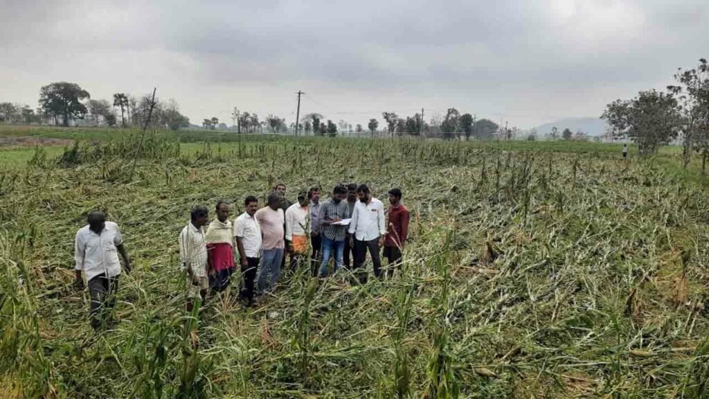 పంట నష్టం