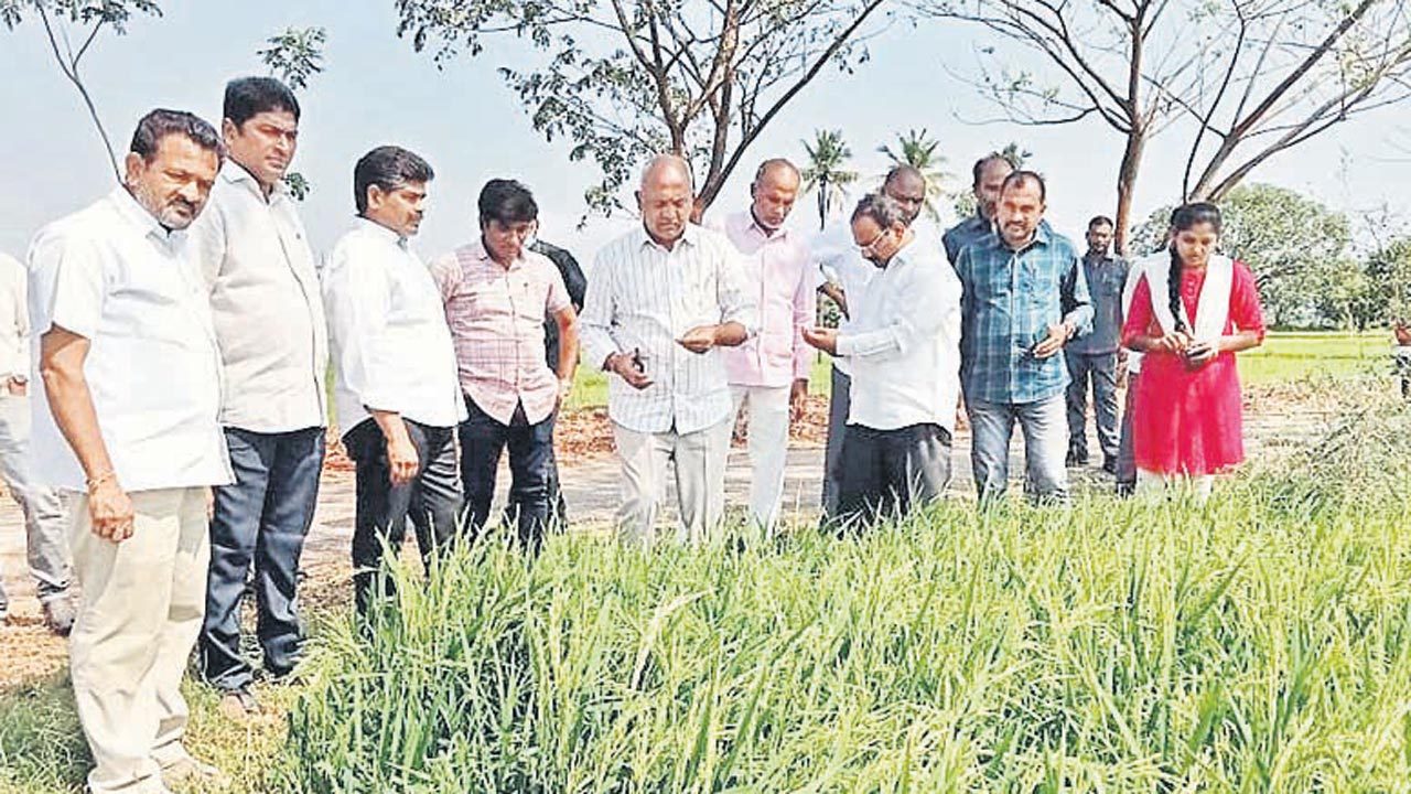 రైతులకు సర్కారు భరోసా