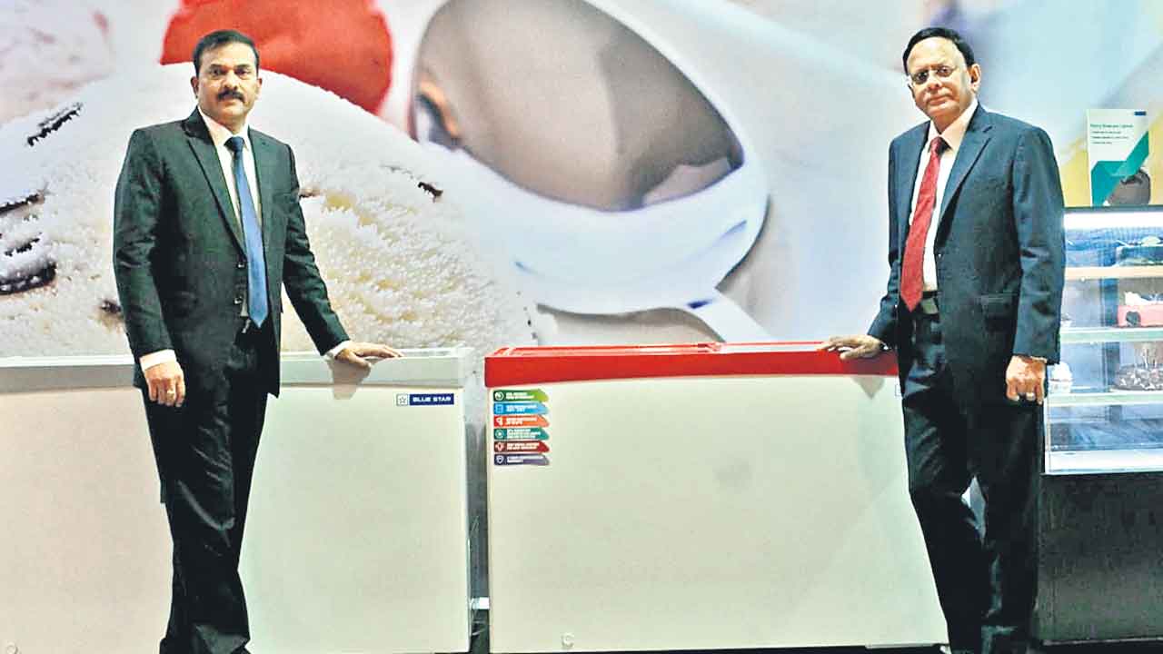 బ్లూస్టార్‌ ‘డీప్‌ ఫ్రీజర్లు’