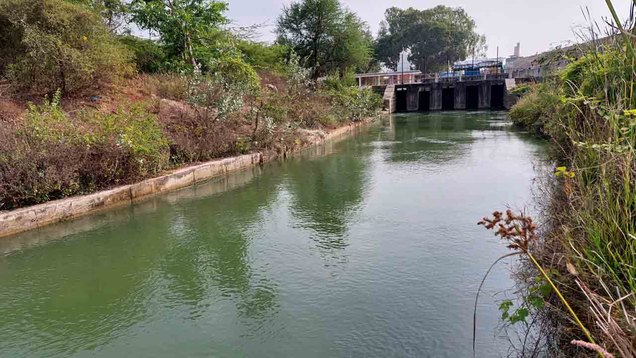 నలభై ఏండ్లకు రెండో పంట