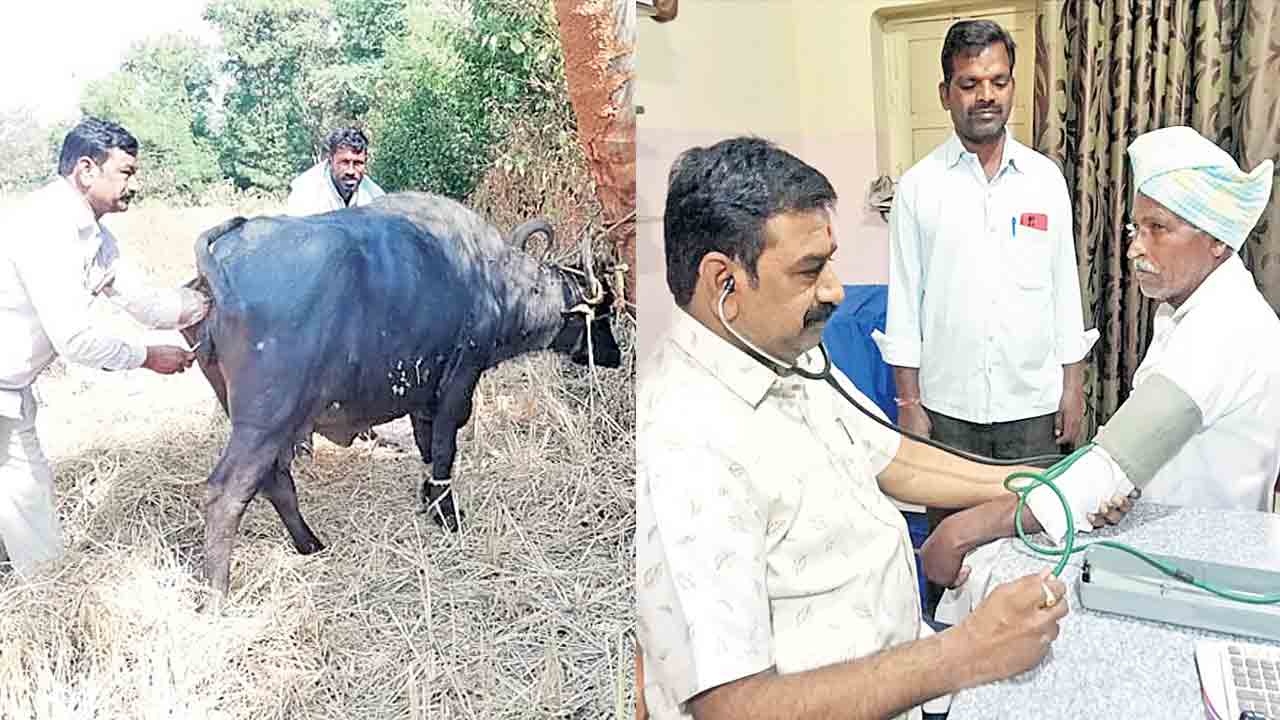 Twins | ఒకే రూపం.. ఒకే వృత్తి.. అన్న పశువుల డాక్టర్ అయితే తమ్ముడు ఆర్‌ఎంపీ డాక్టర్‌