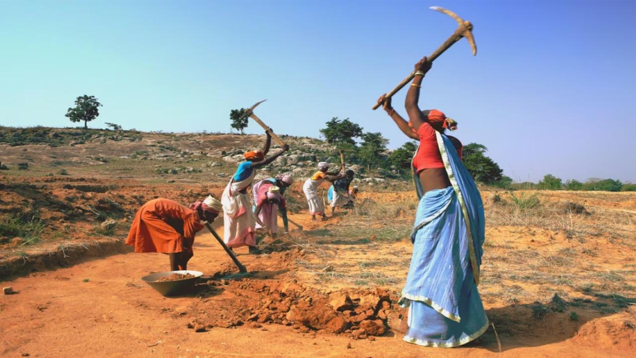 Farm labour |  అర్ధాకలితో వ్యవసాయ కూలీలు.. తగ్గిన కూలిరేట్లు, ఉపాధిహామీ అస్తవ్యస్తం