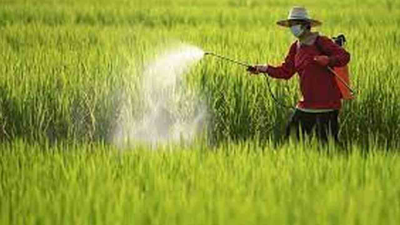 రైమ్‌ ఆర్గానిక్స్‌ పురుగుల మందుపై నిషేధం