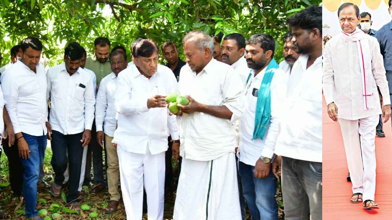 రైతన్న కోసం.. నేడు రామడుగు మండలానికి సీఎం కేసీఆర్‌