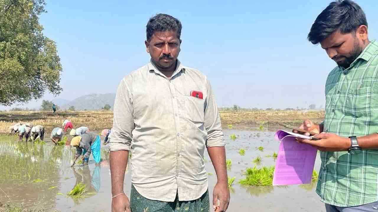 యాసంగి పంటల నమోదు పూర్తి