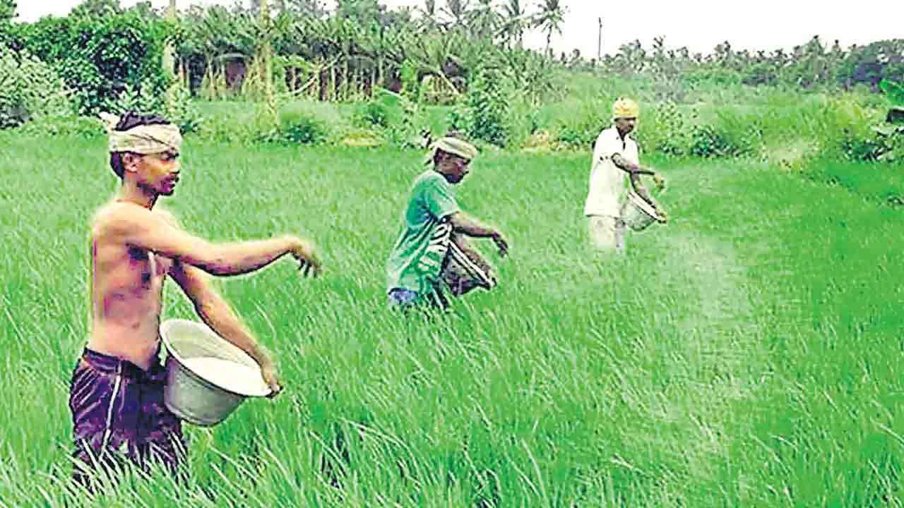 అనుబంధ రంగాలకు వ్యవ‘సాయం’