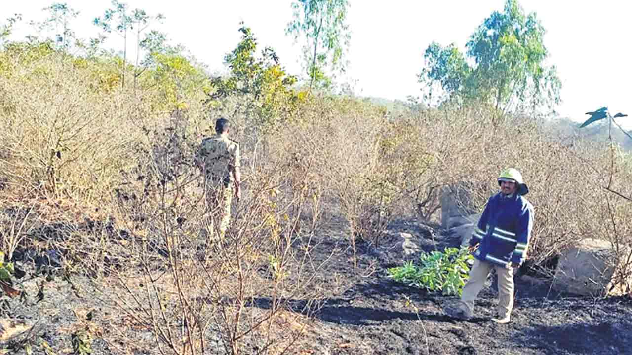 అగ్నిప్రమాదాల నివారణకు 8 బృందాలు