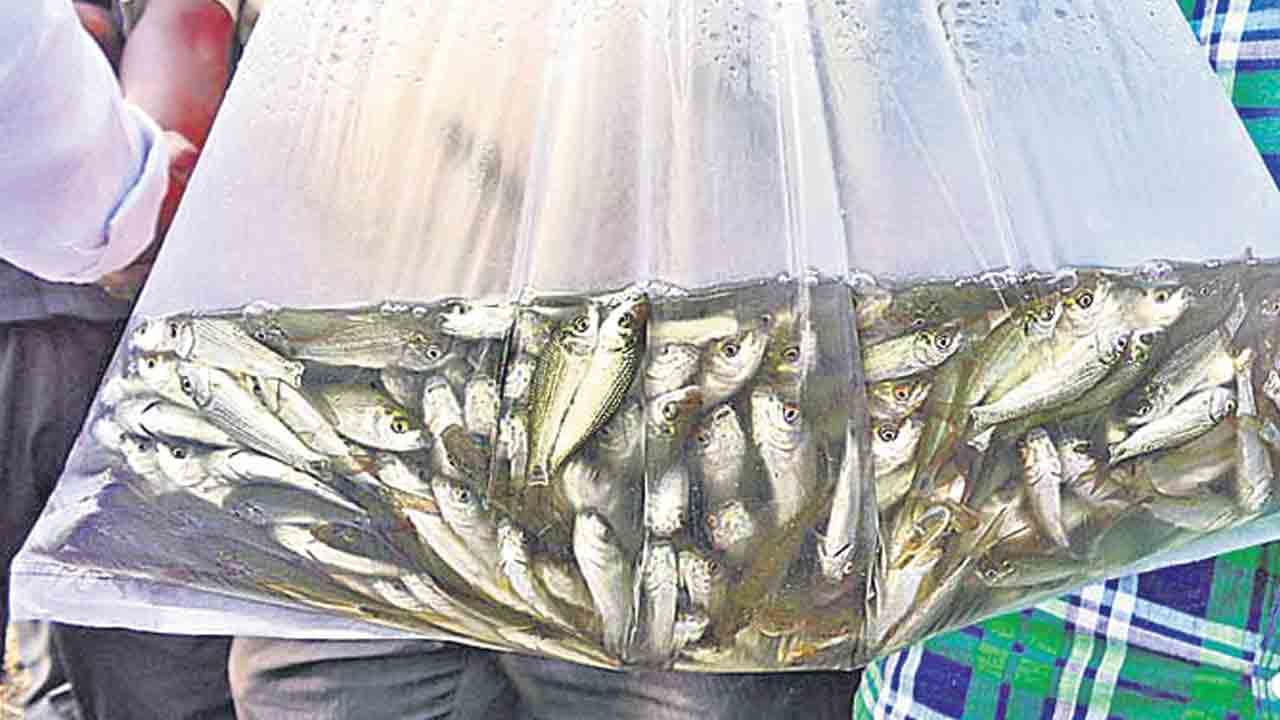 మత్స్యకారులకు.. మరో చన్స్..