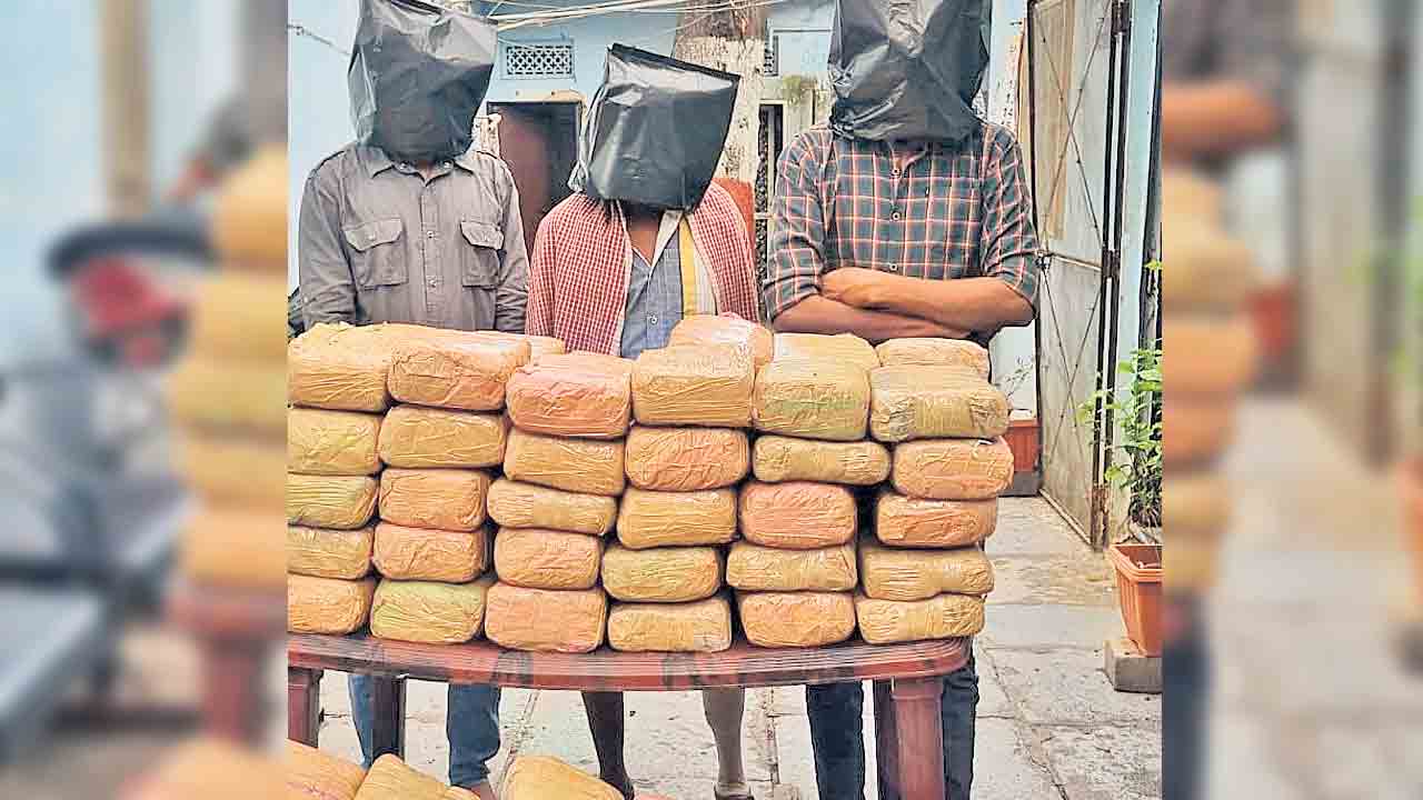 డీసీఎం క్యాబిన్‌లో గంజాయి