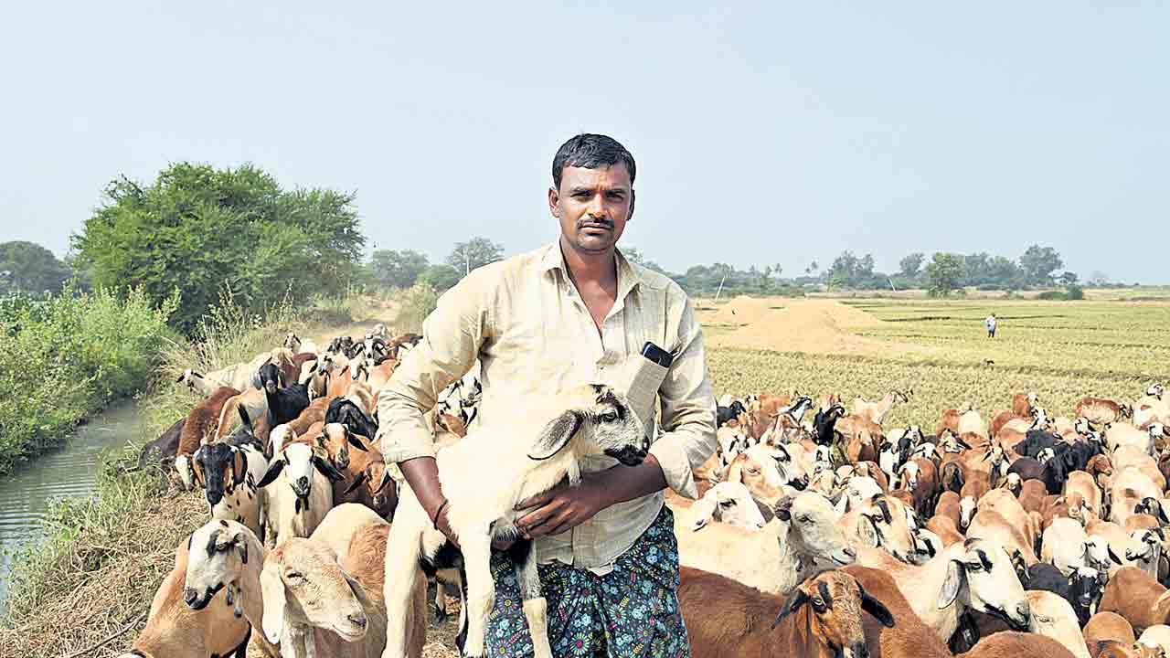 సబ్బండవర్ణాల సంబురాలు