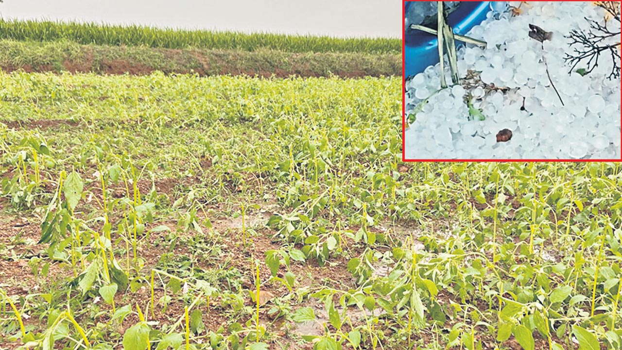 వడగండ్ల బీభత్సం..