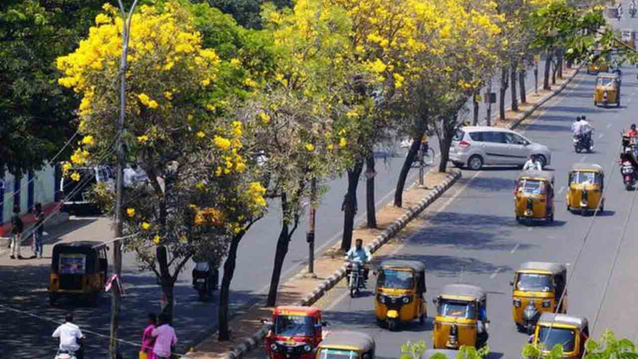 Hyderabad | చెట్లకు పోస్టర్‌ అతికించారని రూ.6వేల జరిమానా విధించిన బల్దియా