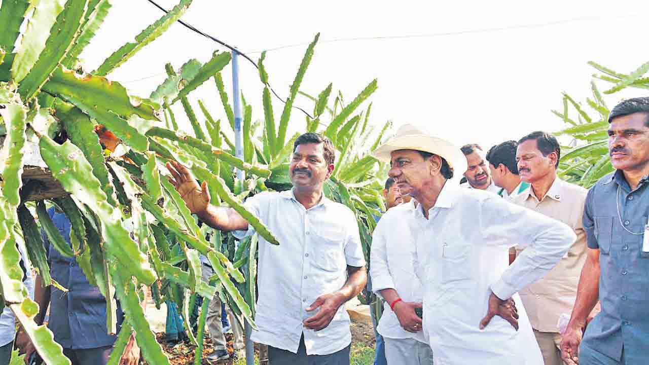 రైతన్నకు సద్దిమూట