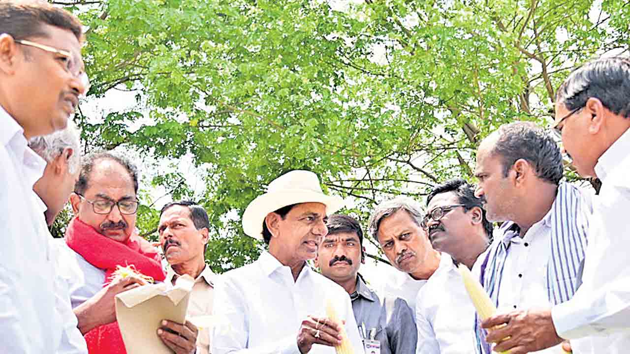 సద్దిబువ్వకు సలాం..