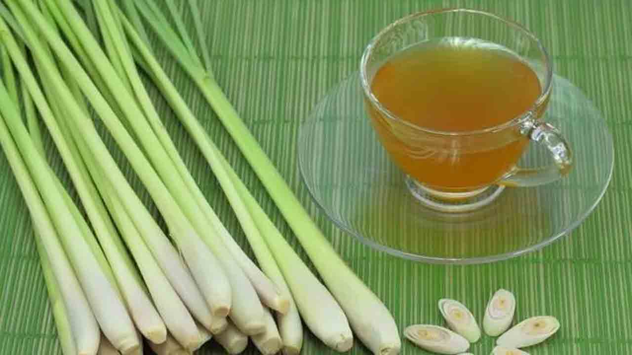 Lemon grass Tea | లెమన్‌ గ్రాస్‌ టీ ఎలా తయారు చేస్తారు?