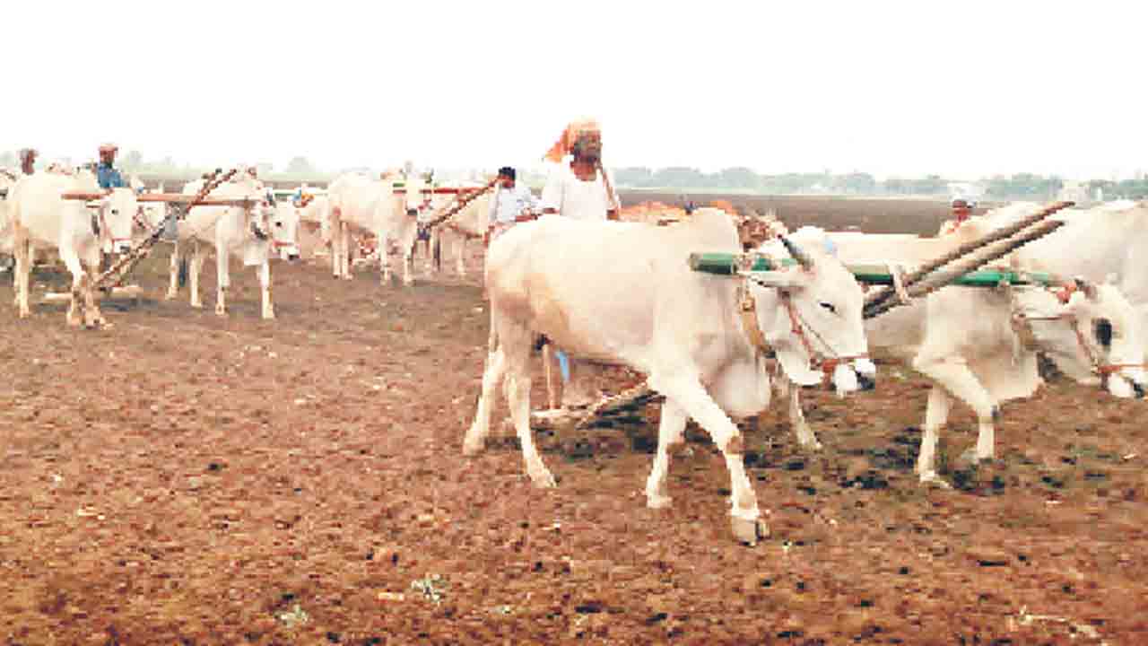 కలిసికట్టుగా..