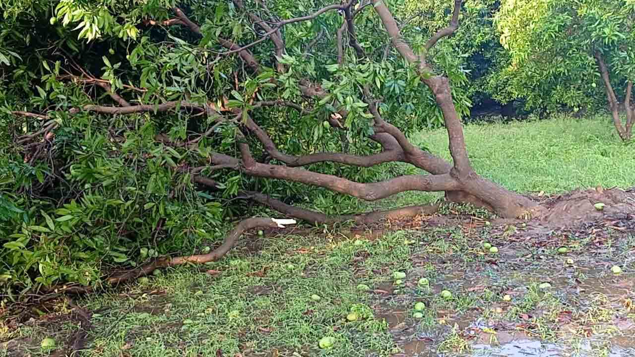 అతలాకుతలం