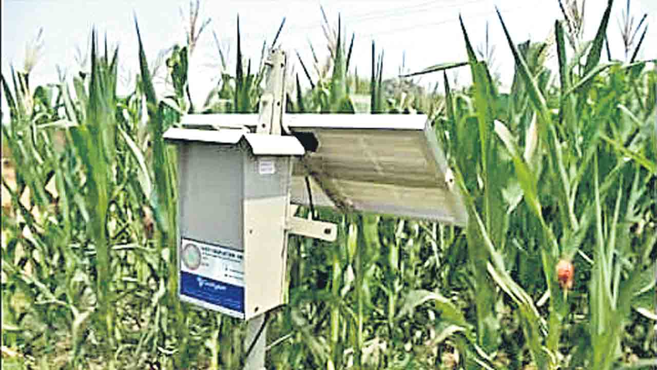 Agriculture | రైతులకు గుడ్‌ న్యూస్‌.. ఈ మెషీన్‌తో అడవి పందులు, కోతుల పరార్‌