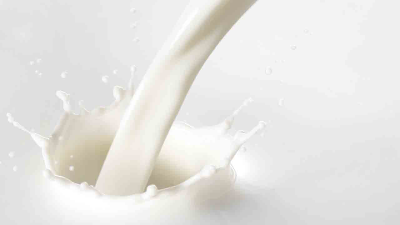 Milk | పాల కల్తీని క్షణాల్లో పసిగట్టొచ్చు!