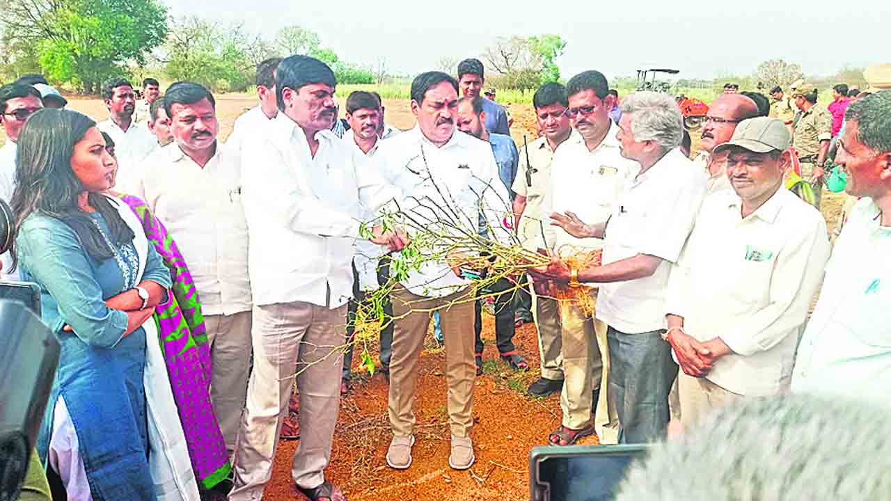 కేంద్రం వల్లే నష్ట పరిహారం ఆలస్యం