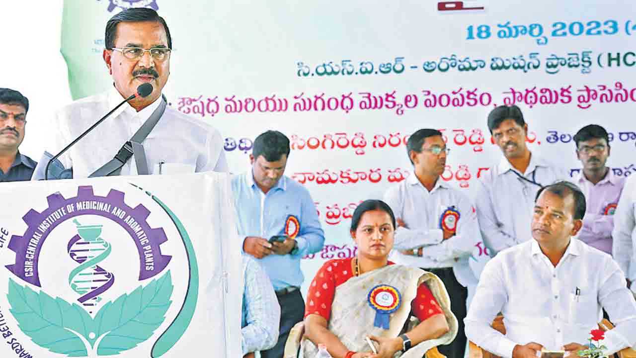 ఔషధ మొకలతో అధిక లాభాలు