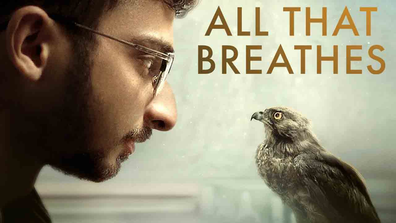 Oscars2023 | బెస్ట్‌ డ్యాక్యుమెంటరీ ఫీచర్‌ ఫిల్మ్‌ విభాగంలో భారత్‌కు దక్కని అవకాశం.. ఆల్‌ దట్‌ బ్రీత్స్‌కు నిరాశ