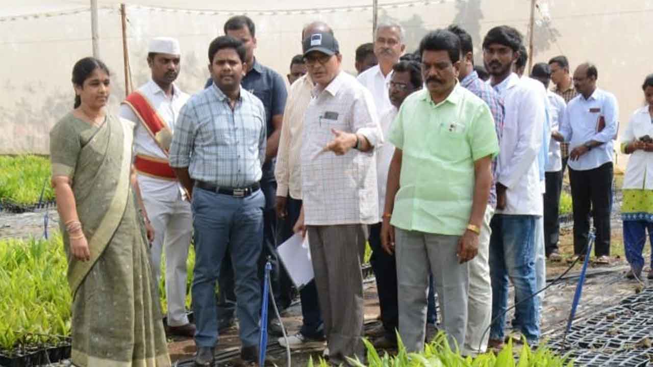 ఆయిల్‌ పామ్‌ సాగు లక్ష్యాలను పూర్తి చేయాలి