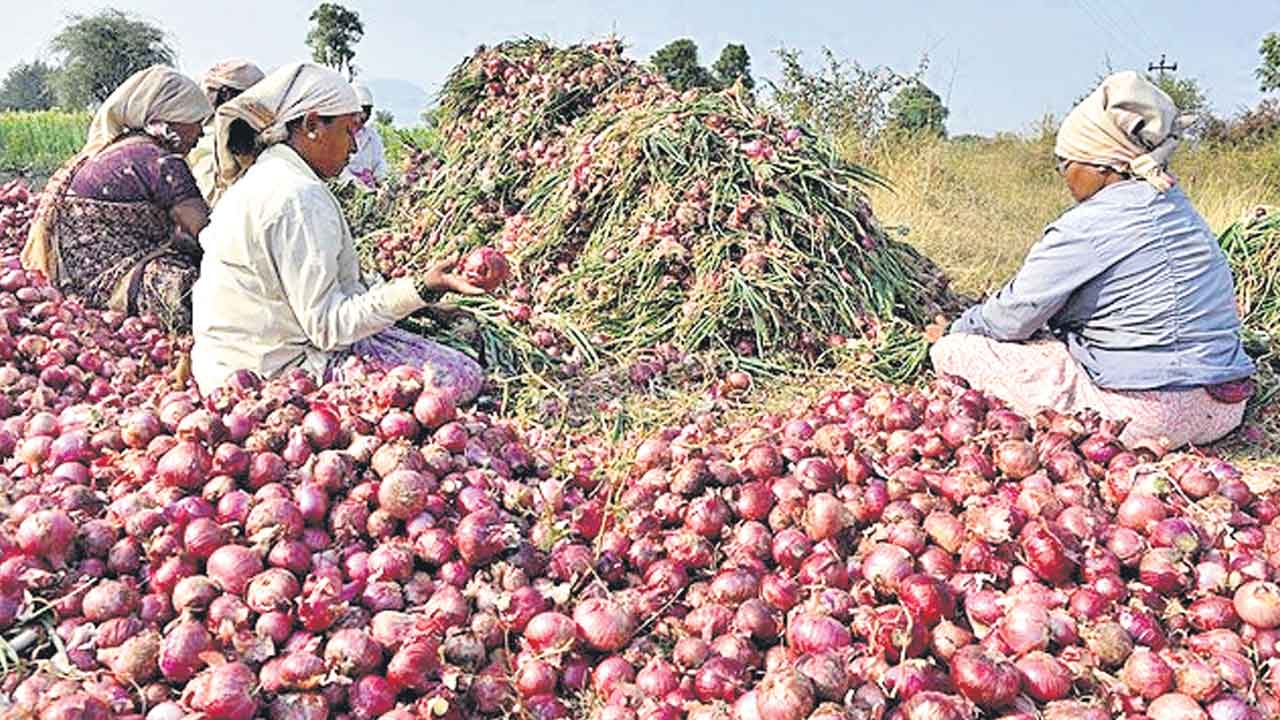 రైతుల మార్చ్‌తో దిగొచ్చిన షిండే సర్కారు