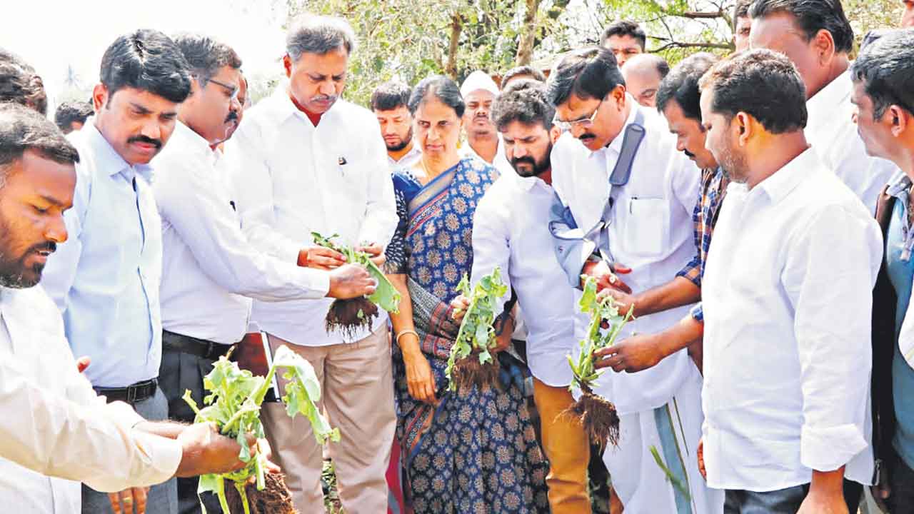 అధైర్యపడొద్దు.. ఆదుకుంటాం..