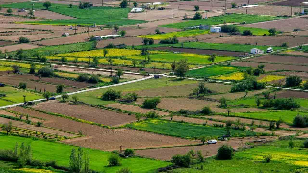 Bachupally | బాచుపల్లిలోని హెచ్ఎండీఏ లేఅవుట్‌కు అనూహ్య స్పందన.. అన్నీ ప్లాట్లు విక్రయం