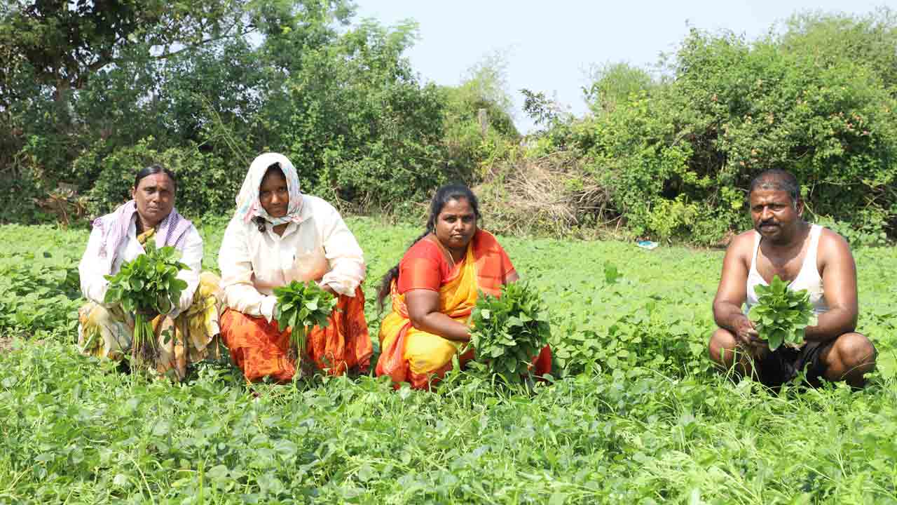 Raghavapuram | అప్పుడు అడ్డకూలీలుగా వెళ్లారు.. ఇప్పుడు ఆకుకూరలు సాగు చేస్తూ లాభాలు పొందుతున్నారు