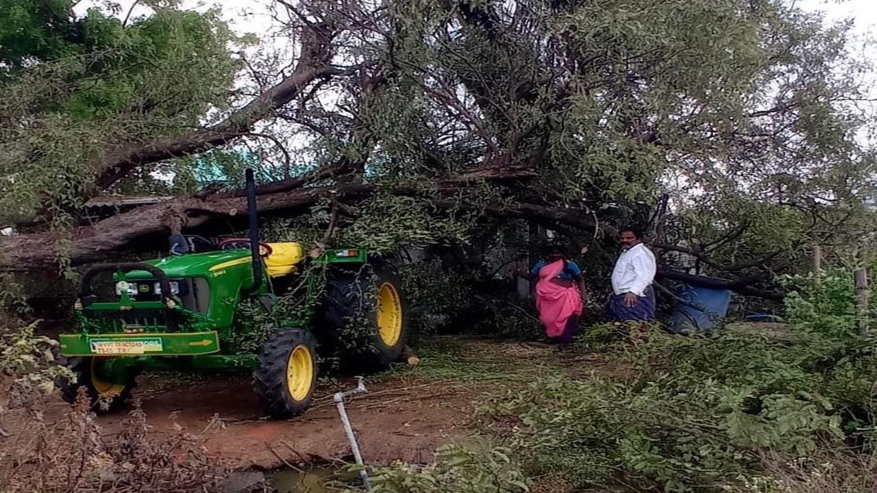 అకాల వర్షంతో నేలకొరిగిన పంటలు