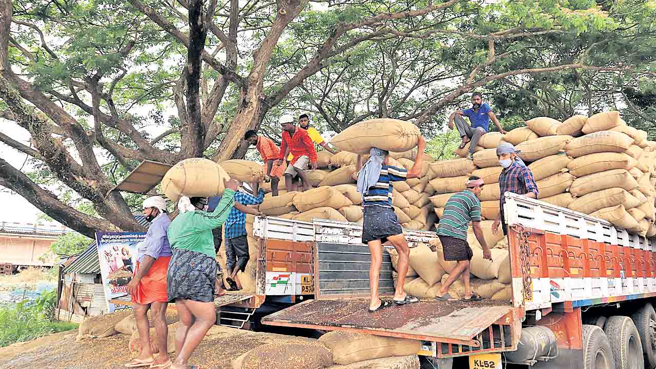 దేశవ్యాప్తంగా బియ్యం కొరత
