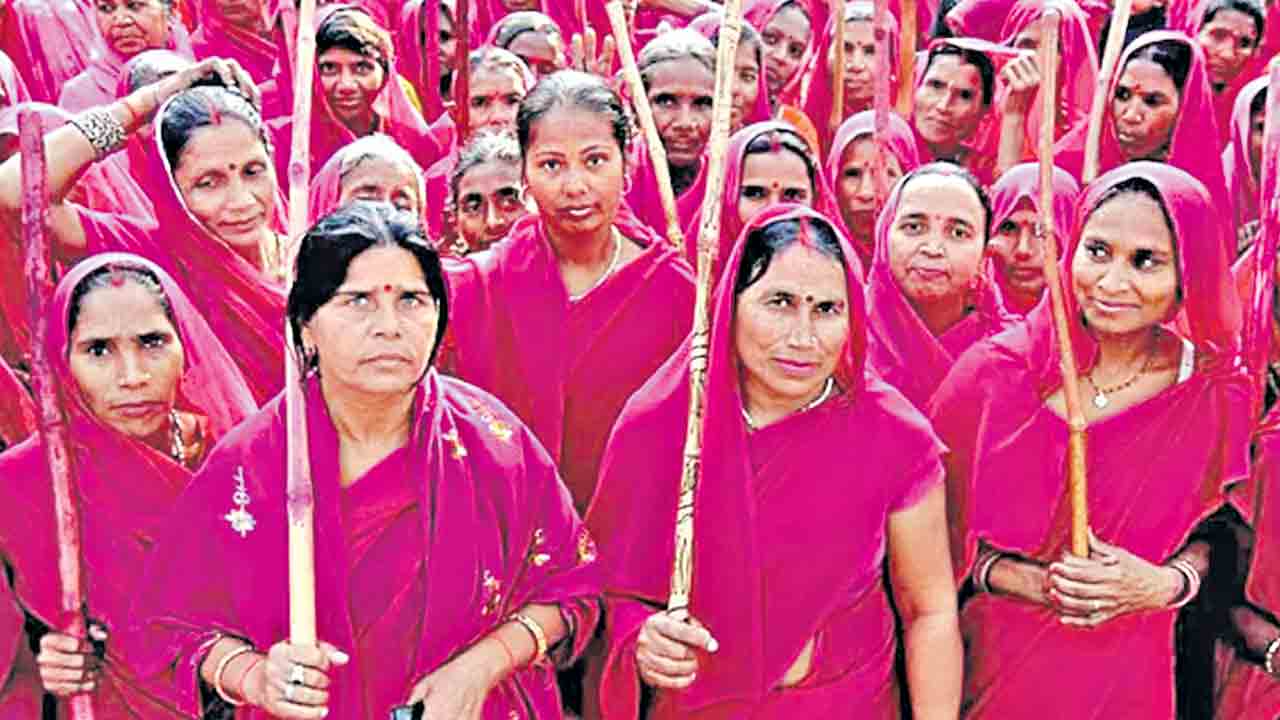 గులాబీ చీరకు అంతర్జాతీయ గుర్తింపు