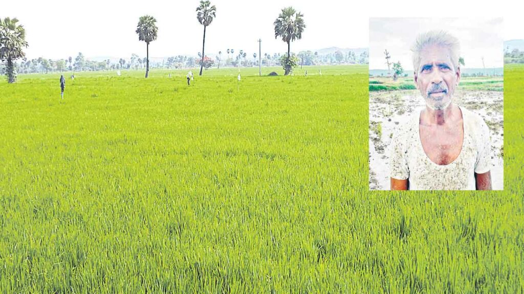 క్రిందికి రండి