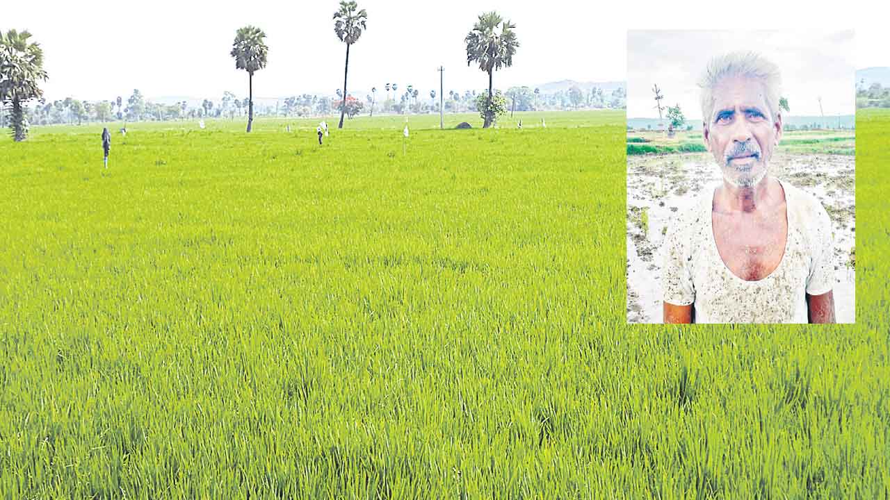 ఆపద్బాంధవుడు సీఎం కేసీఆర్‌