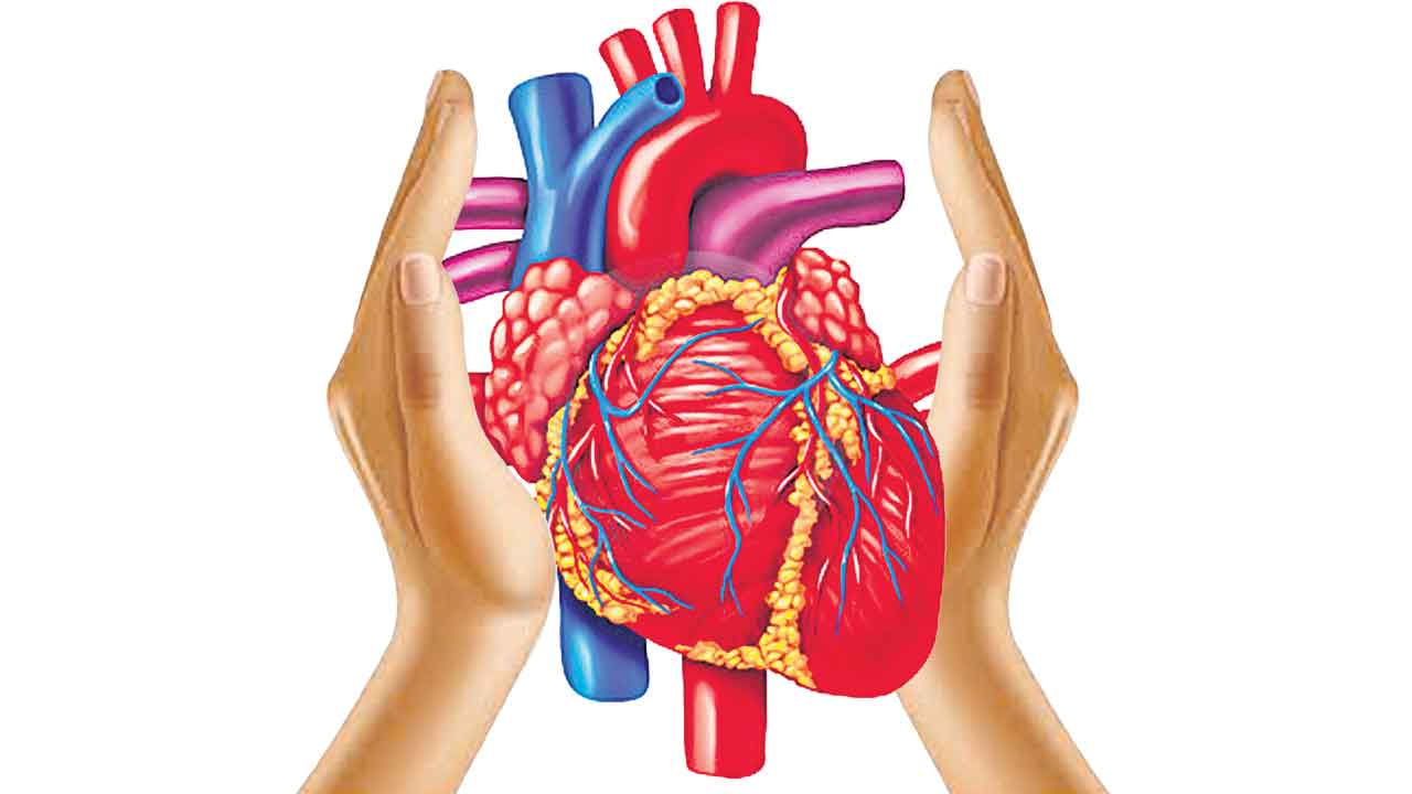 చిన్న వయసులోనే గుండెపోట్లు