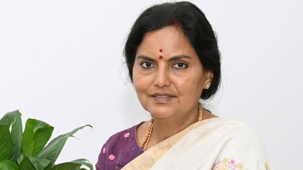 Palle Pragathi | పల్లెప్రగతితో మెరుగైన గ్రామీణ జీవన ప్రమాణాలు : సీఎస్ శాంతి కుమారి