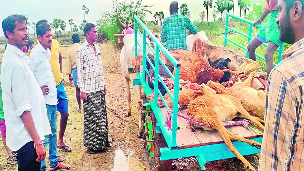 వడగండ్ల బీభత్సం