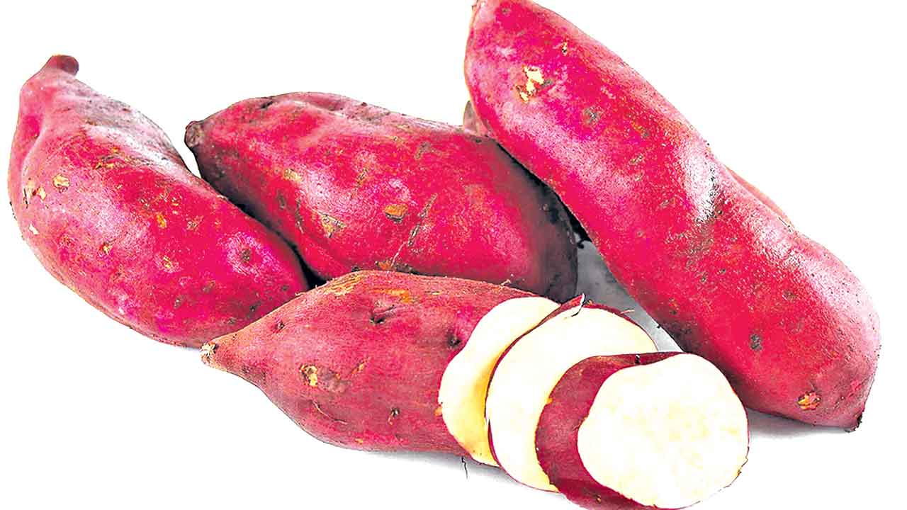 Beauty Tips | జుట్టు రాలిపోతుందా.. చిలగడదుంపతో ఇలా మాస్క్‌ వేసుకుని చూడండి