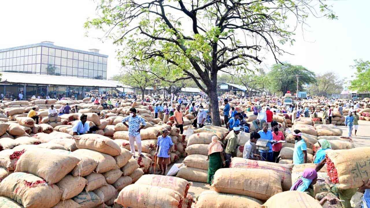 తేజా మిర్చి @ రూ.21,650