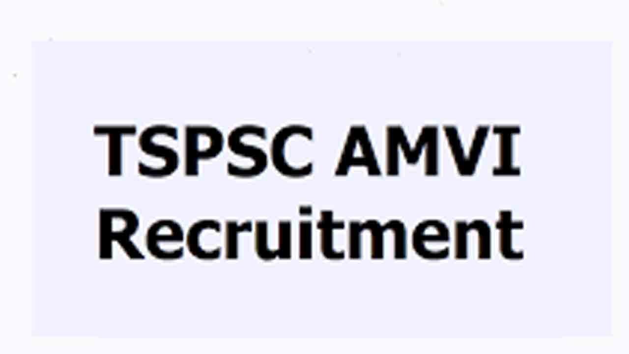 ఏఎంవీఐ దరఖాస్తుల సవరణకు చాన్స్‌